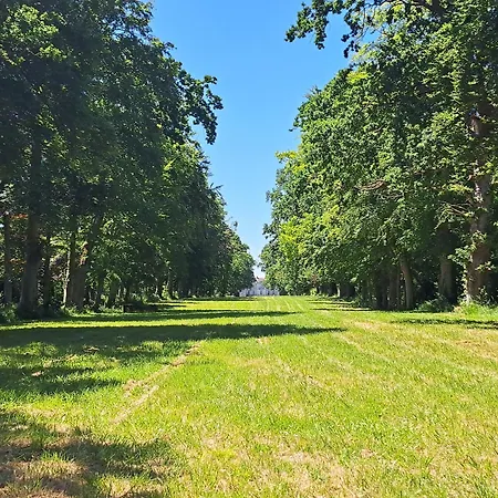 Chateau D'agy Agy