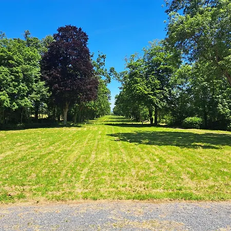 לינה וארוחת בוקר Chateau D'agy Agy